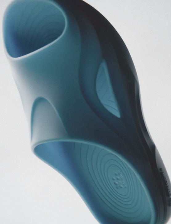 XL DOLPHIN: